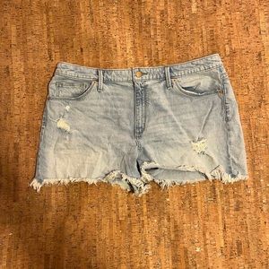 Universal Thread Distressed Jean Shorts